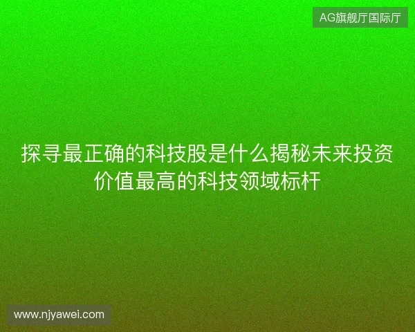 探寻最正确的科技股是什么揭秘未来投资价值最高的科技领域标杆